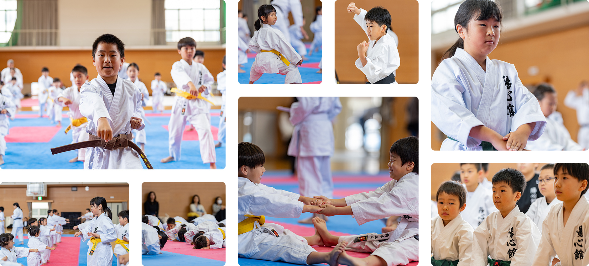 長岡京市・向日市・大山崎町の空手道場・教室 陽心館